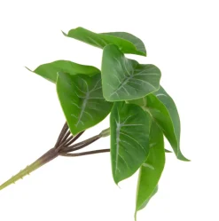 COCOmaison Anthurium Mini Bush H13cm fleur - Vert Hot