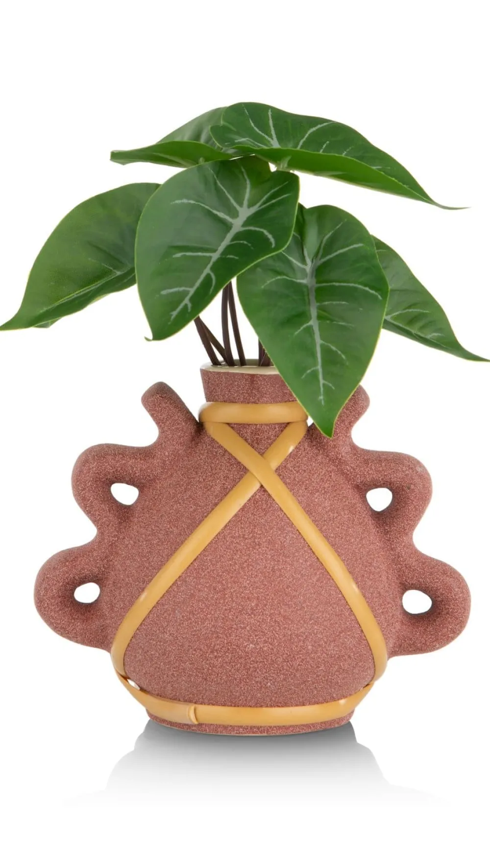 COCOmaison Anthurium Mini Bush H13cm fleur - Vert Hot