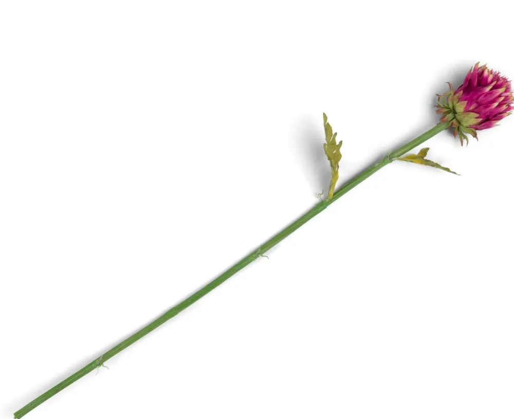 COCOmaison Artichoke Stem H80cm - Rose Outlet