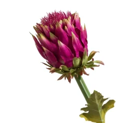 COCOmaison Artichoke Stem H80cm - Rose Outlet