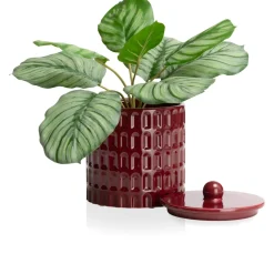 COCOmaison Bisko pot H16.5cm - Bordeaux Sale