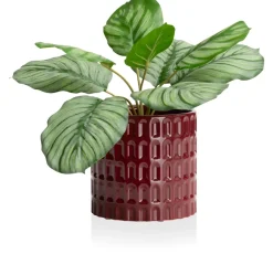 COCOmaison Bisko pot H16.5cm - Bordeaux Sale