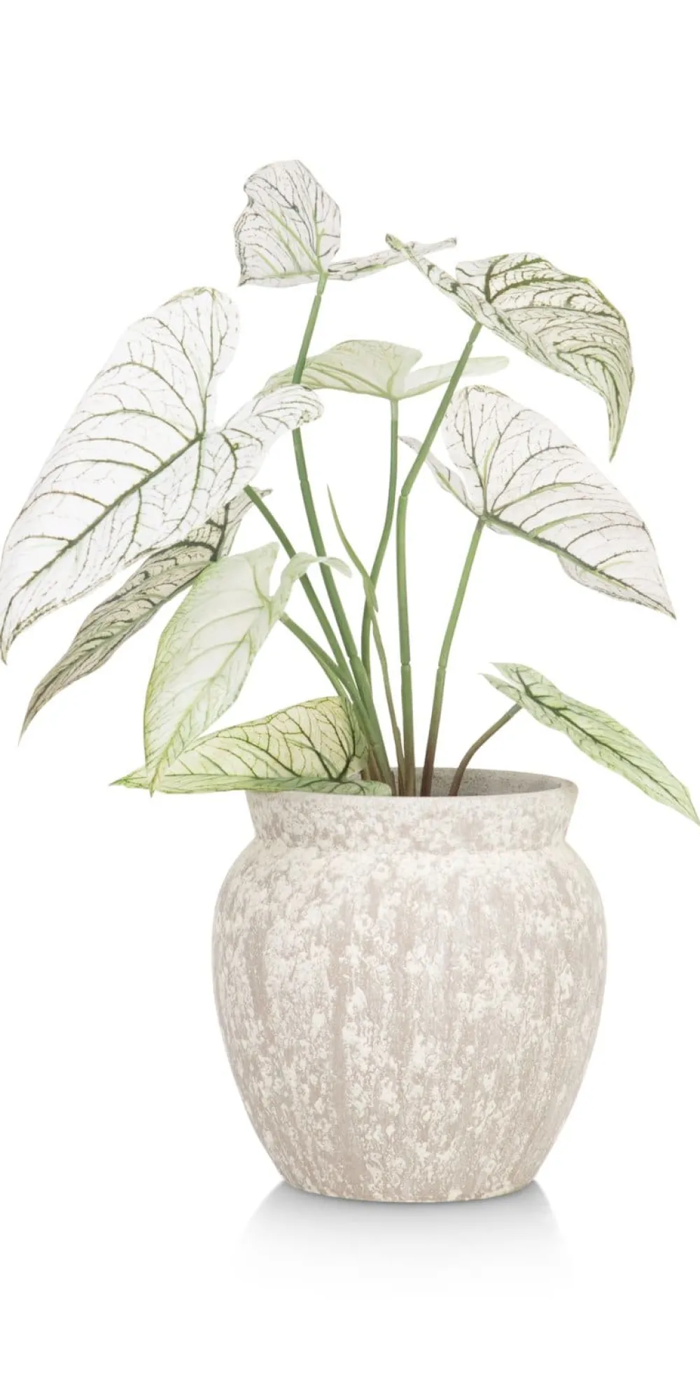 COCOmaison Braga pot H25cm - Beige