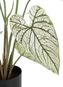COCOmaison Caladium H60cm plante artificielle - Vert Online