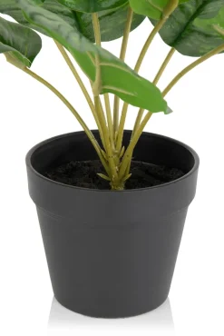 COCOmaison Calathea Orbifolia H45cm plante artificielle - Vert Outlet