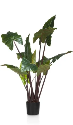 COCOmaison Colocasia H130cm - Vert Hot