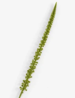 COCOmaison Donkey Tail fleur artificielle H86cm - Vert Discount