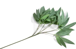 COCOmaison Eucalyptus branch H95cm - Vert Discount