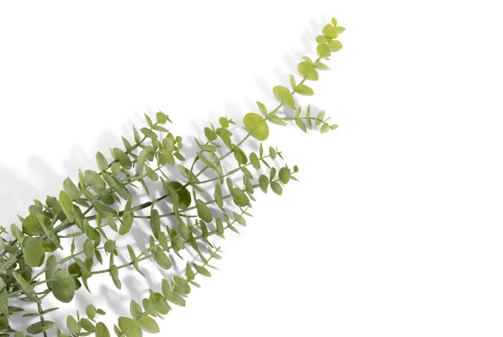 COCOmaison Eucalyptus Hanging Vine H120cm fleur - Vert Best