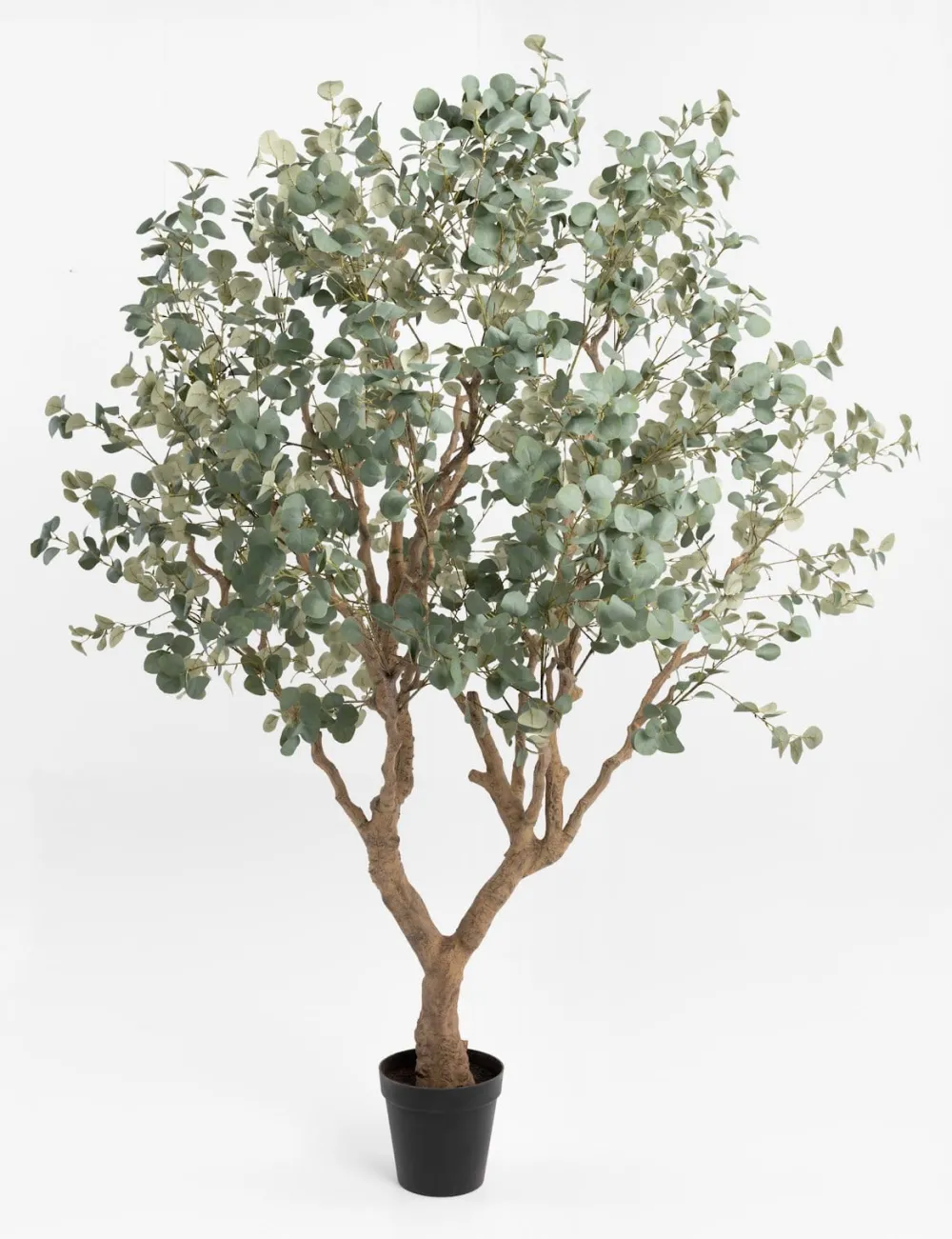 COCOmaison Eucalyptus Tree plante artificielle H240cm - Vert Discount