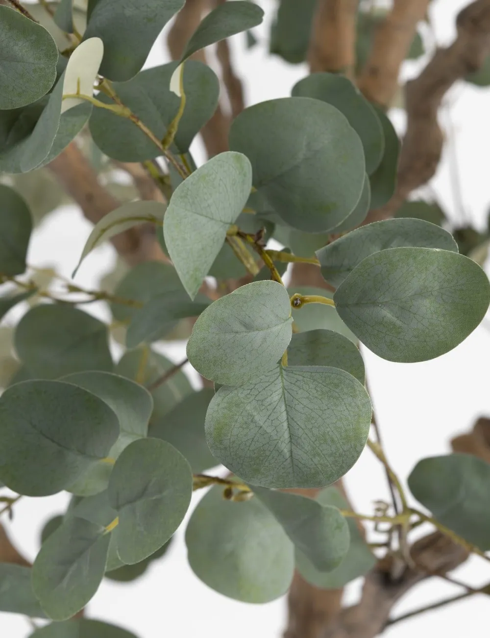 COCOmaison Eucalyptus Tree plante artificielle H240cm - Vert Discount