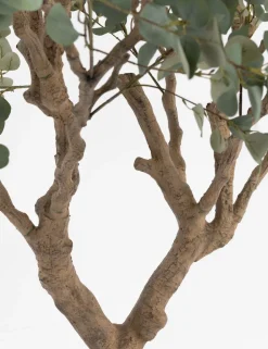 COCOmaison Eucalyptus Tree plante artificielle H240cm - Vert Discount