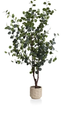 COCOmaison Eucalyptus Tree plante artificielle H180cm - Vert Sale