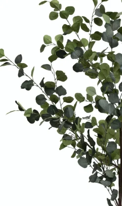 COCOmaison Eucalyptus Tree plante artificielle H180cm - Vert Sale