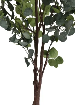 COCOmaison Eucalyptus Tree plante artificielle H180cm - Vert Sale