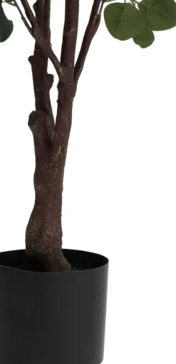 COCOmaison Eucalyptus Tree plante artificielle H180cm - Vert Sale