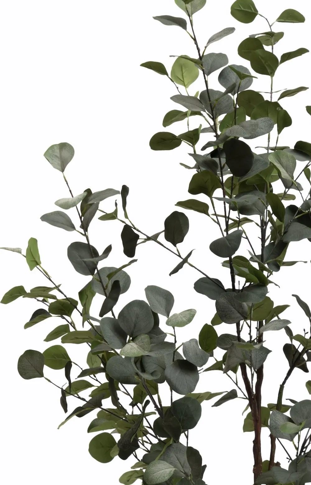 COCOmaison Eucalyptus Tree plante artificielle H140cm - Vert Hot