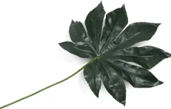 COCOmaison Fatsia Leaf fleur artificielle H55cm - Vert Outlet