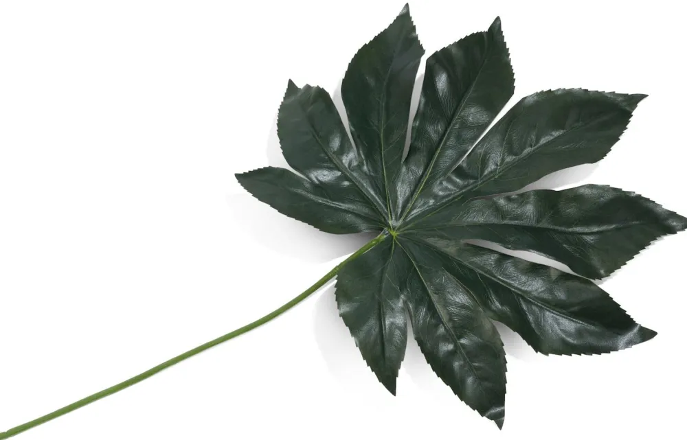 COCOmaison Fatsia Leaf fleur artificielle H55cm - Vert Outlet