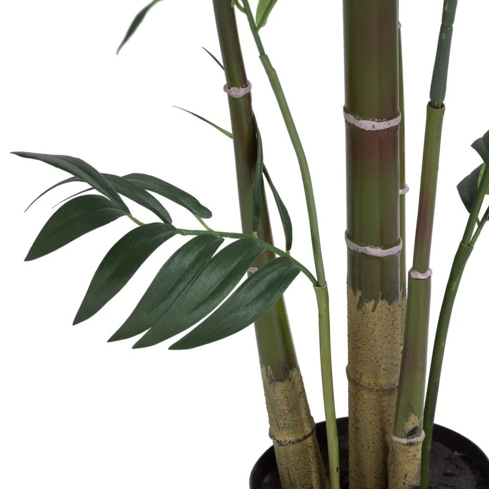COCOmaison Kentia Palm plant H210cm - Vert Sale