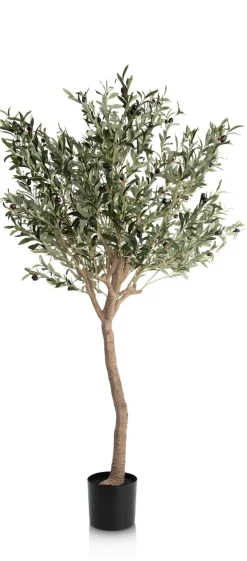 COCOmaison Olive Tree H180cm plante artificielle - Vert New