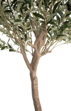 COCOmaison Olive Tree H180cm plante artificielle - Vert New