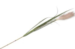 COCOmaison Pampus Grass fleur artificielle H120cm - Vert