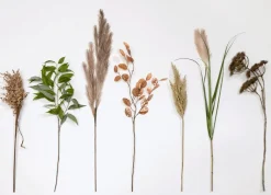 COCOmaison Pampus Grass fleur artificielle H120cm - Vert