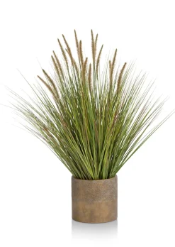 COCOmaison Pennisetum Grass plant H99cm - Vert Discount