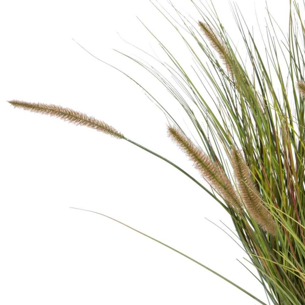 COCOmaison Pennisetum Grass plant H99cm - Vert Discount