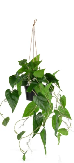 COCOmaison Philodendron Scandens H80cm plante artificielle - Vert Outlet