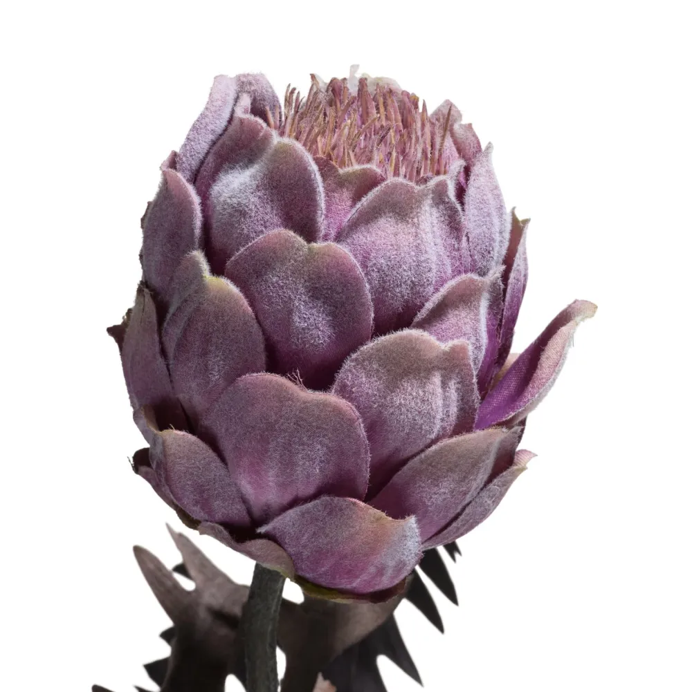 COCOmaison Protea Spray H63cm - Violet Discount