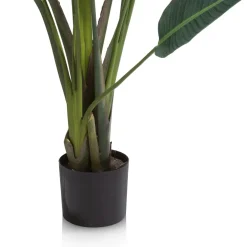 COCOmaison Strelitzia Nicolai H150cm - Vert Best