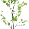 COCOmaison Tropaeolum plante artificielle H210 - Vert Outlet