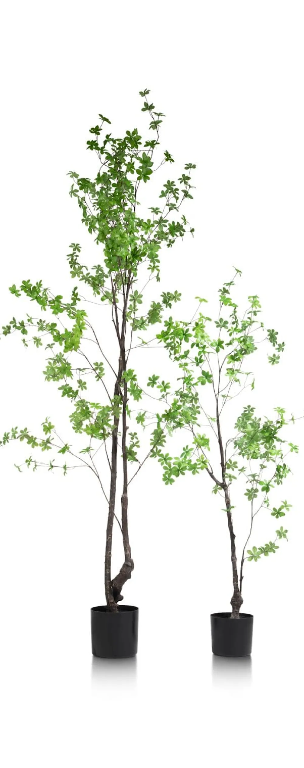 COCOmaison Tropaeolum plante artificielle H210 - Vert Outlet