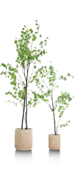 COCOmaison Tropaeolum plante artificielle H210 - Vert Outlet