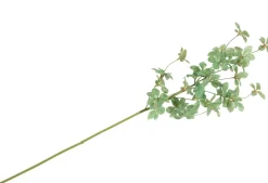 COCOmaison Tropaeolum Spray H88cm fleur - Vert Best