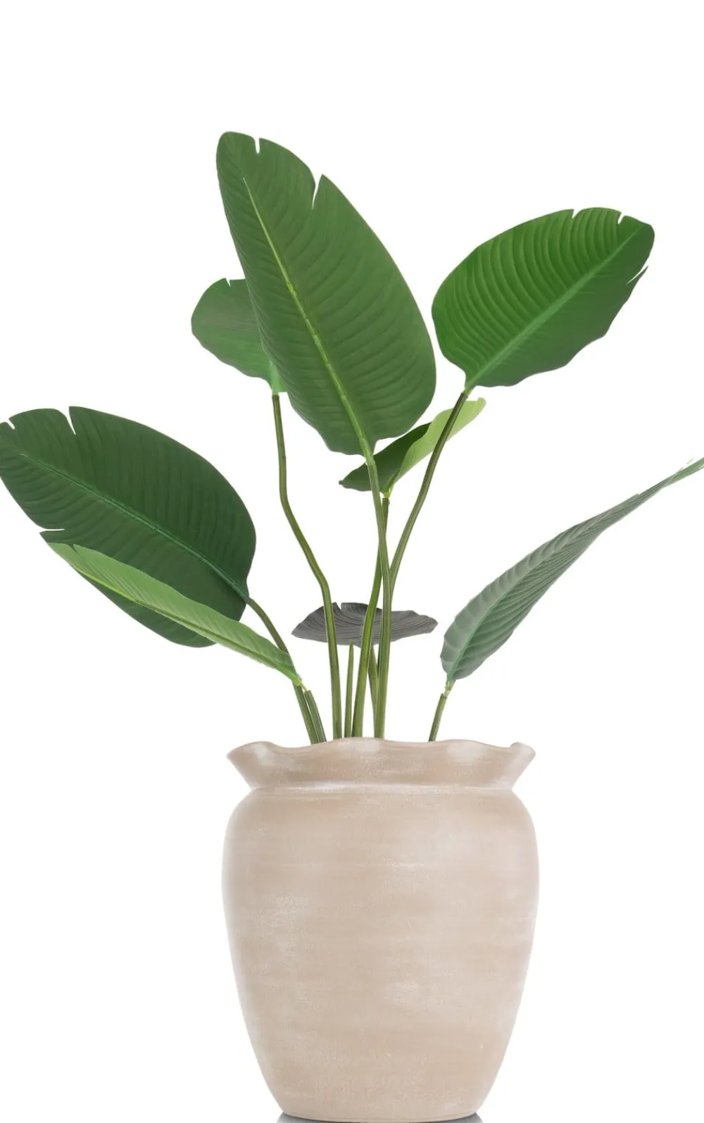 COCOmaison Wave pot H40cm - Beige Online